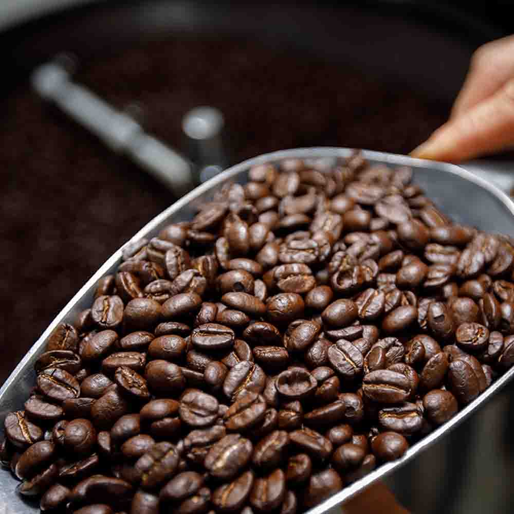 Choosing the Right Roast: Light, Medium, or Dark — Which One Are You?