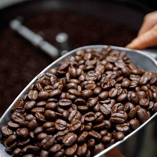 Choosing the Right Roast: Light, Medium, or Dark — Which One Are You?